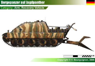 Germany Bergepanzer auf jagdpanther
