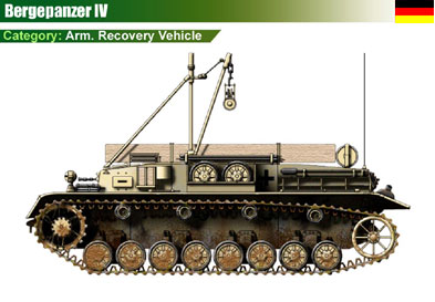 Germany Bergepanzer IV
