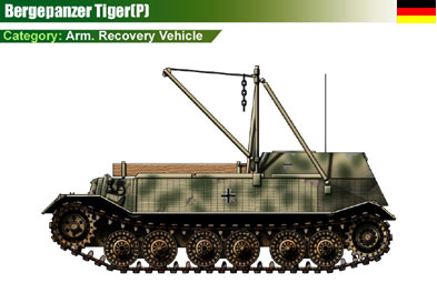 Germany Bergepanzer Tiger(P)